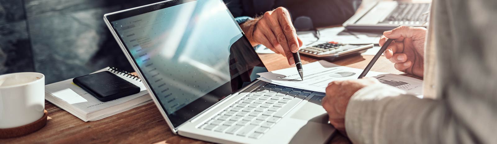 Business people looking a financial chart in front of laptop.